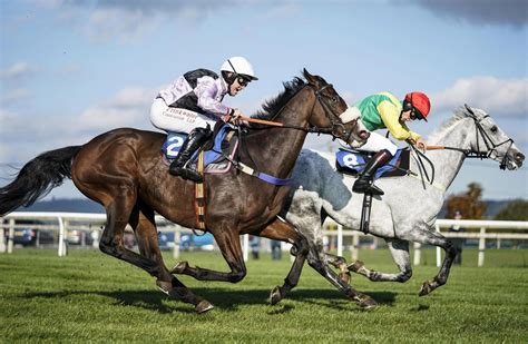 wincanton races today|results from wincanton today.